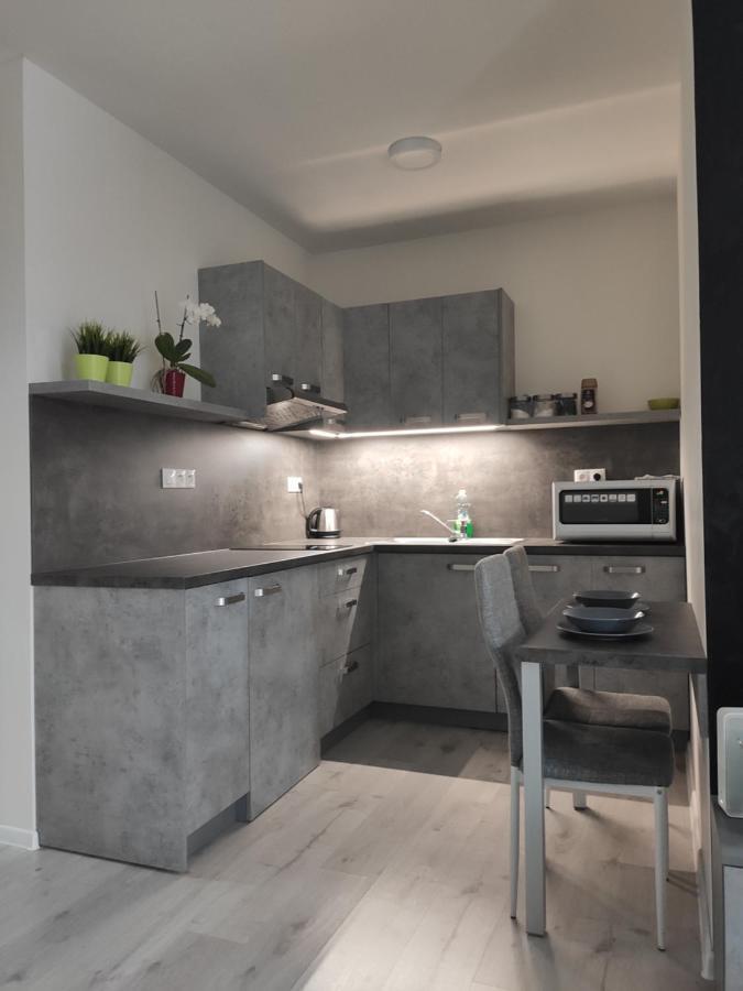Apartman Kuzmanyho Zilina Centrum Kültér fotó